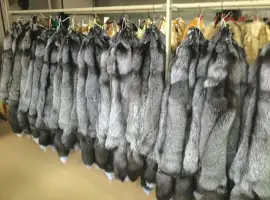 Зображення для оголошення Шкуры чернобурки