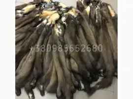 Зображення для оголошення Шкуры куницы
