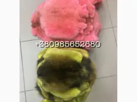Зображення для оголошення Шкуры