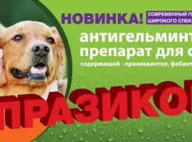 Зображення для оголошення Празикон -ангельминтик широкого спектра действия