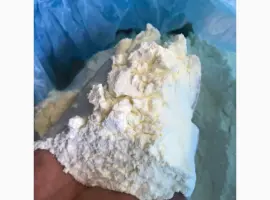 Зображення для оголошення СРОЧНО продам схое молоко 1