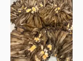 Зображення для оголошення Куплю куницю НАЙДОРОЖЧЕ