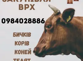 Зображення для оголошення Закупівля