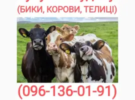 Зображення для оголошення Куплю худобу у Вінницькій