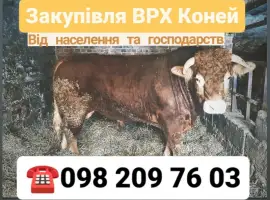 Зображення для оголошення Куплю ВРХ Вінницька Хмельницька Житомирська Тернопільська Київська Черкаська