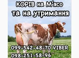 Зображення для оголошення Куплю дорого врх
