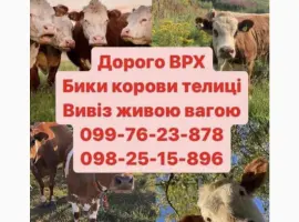 Зображення для оголошення Врх куплю