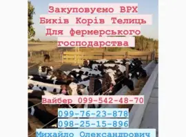 Зображення для оголошення Ферма закуповуемо врх