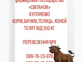 Зображення для оголошення Ферма закуповуемо