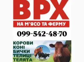 Зображення для оголошення Закупівля врх