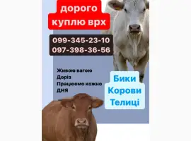 Зображення для оголошення Куплю врх дорого