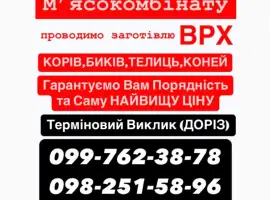 Зображення для оголошення Мʼясокомбінат закуповує ВРХ
