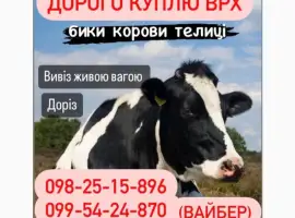 Зображення для оголошення Закупівля по населенню ВРХ