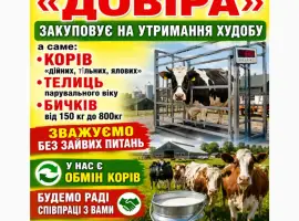 Зображення для оголошення Фермерське Господарство «Довіра»