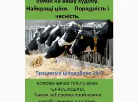 Зображення для оголошення Купую ВРХ дорого цілодобово