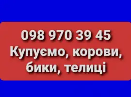 Зображення для оголошення Куплю. врх