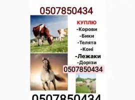 Зображення для оголошення Купівля врх