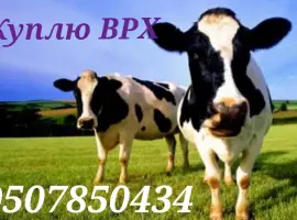 Зображення для оголошення Закупівлі врз