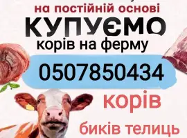 Зображення для оголошення Закуповують врх