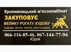 Зображення для оголошення Закуповуємо ВРХ