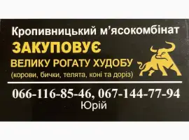 Зображення для оголошення Закуповуємо велику рогату худобу
