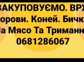 Зображення для оголошення Закупiвля