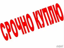 Зображення для оголошення Бычки телята