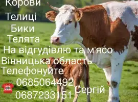 Зображення для оголошення Куплю ВРХ