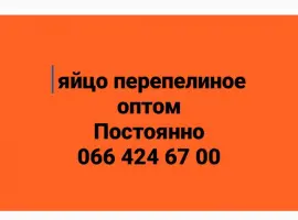 Зображення для оголошення Куплю яйцо перепелиное оптом