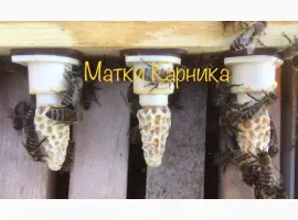 Зображення для оголошення Продам Карнику