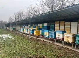 Продам свою пасеку