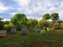 Продам вулики із бжолами