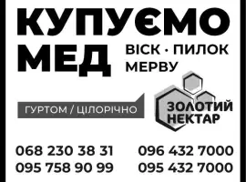 Зображення для оголошення Куплю мёд