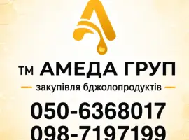 Зображення для оголошення Купуємо мед соняшника оптом АМЕДА ГРУП