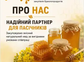 Зображення для оголошення Куплю мед постоянно Черкасская Кировоградская обл