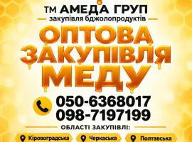 Зображення для оголошення Закупівля меду оптом у пасічників АМЕДА ГРУП