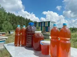 Зображення для оголошення Мед з лісової пасіки