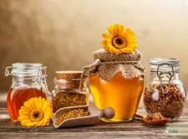 Зображення для оголошення Продам мед
