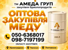 АМЕДА ГРУП Куємо мед оптом соняшниковий центральна Україна