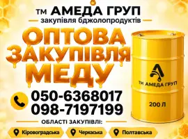 Зображення для оголошення Закуповуємо мед по Кіровоградській