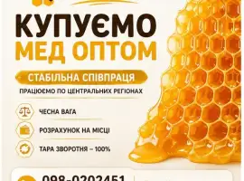 Зображення для оголошення Закуповуємо мед від 300 кг. Кіровоградська обл