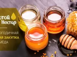 Зображення для оголошення Закуповуємо мед
