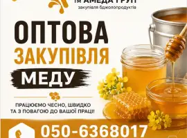 Зображення для оголошення Купуємо оптом мед Кіровоградська Черкаська Полтавська Миколаївська обл