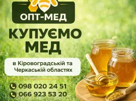 Зображення для оголошення Купуємо МЕД соняшниковий в Кіровоградській обл