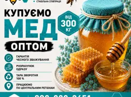Зображення для оголошення Купуємо МЕД соняшниковий в Кіровоградській обл