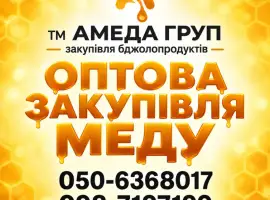 Зображення для оголошення Купуємо мед соняха АМЕДА ГРУП
