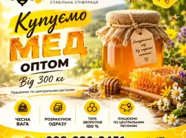 Зображення для оголошення Черкаська обл. Закуповуємо мед оптом ОПТ-МЕД