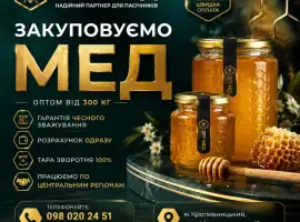 Зображення для оголошення Закуповуємо МЕД по усій Кіровоградській обл