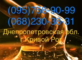 Зображення для оголошення Золотой Нектар" Оптовая закупка меда (Кривой Рог)