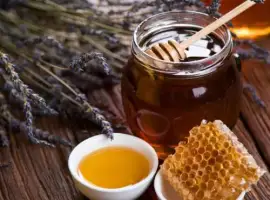 Зображення для оголошення Продам Мед натуральний з лісової власної пасіки